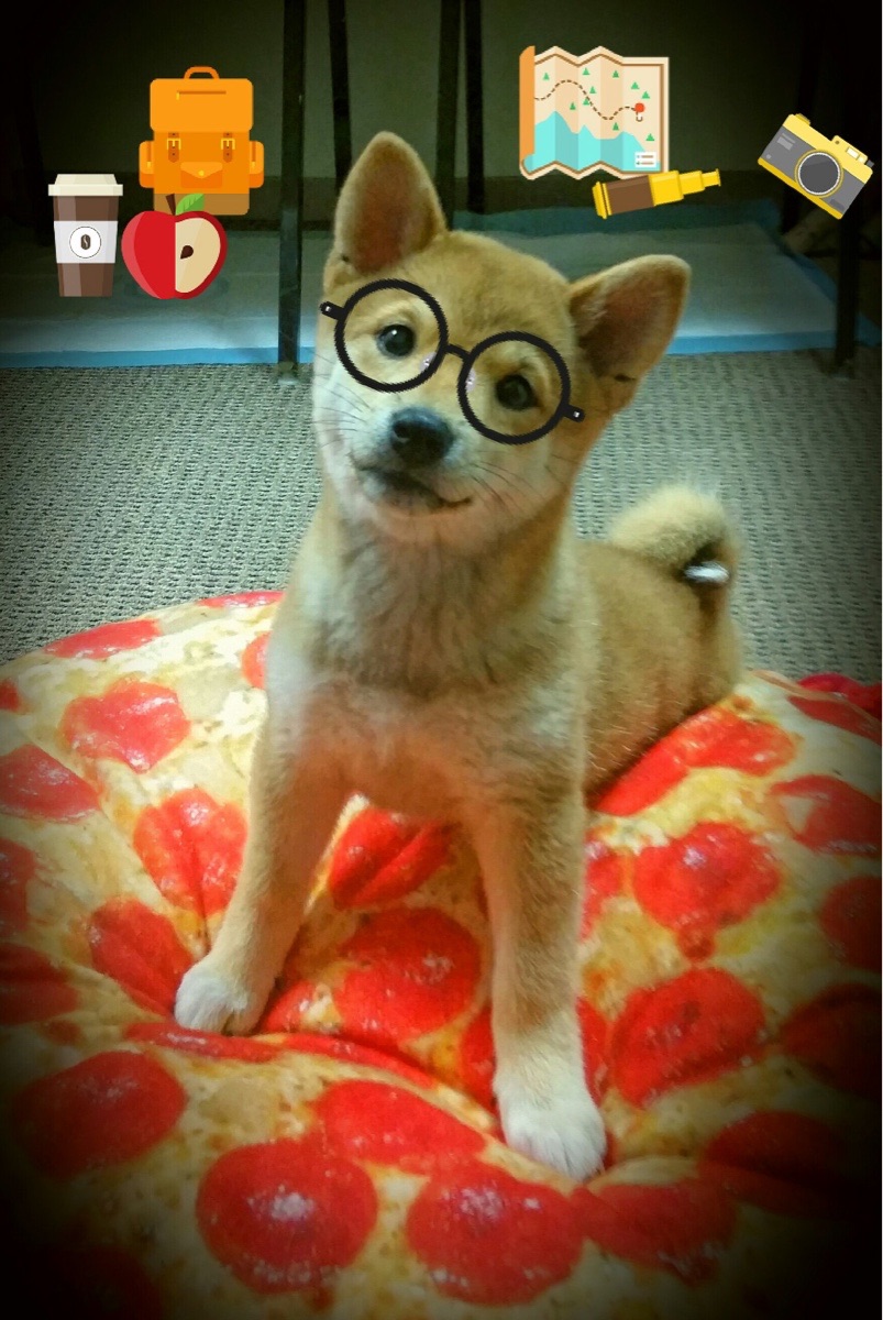 kaiyun体育app-_骑士队年轻力量崭露，持续成长_，骑士队出场介绍