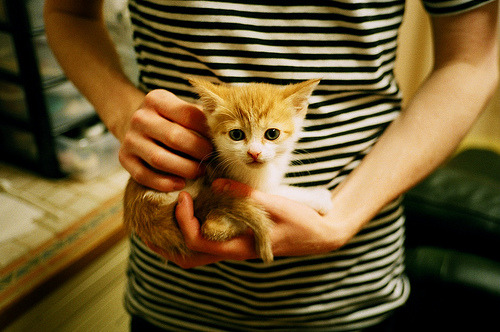 开云中国大陆-“中国女足迎来国际友谊赛，展现全新战术体系”，中国女足邀请赛