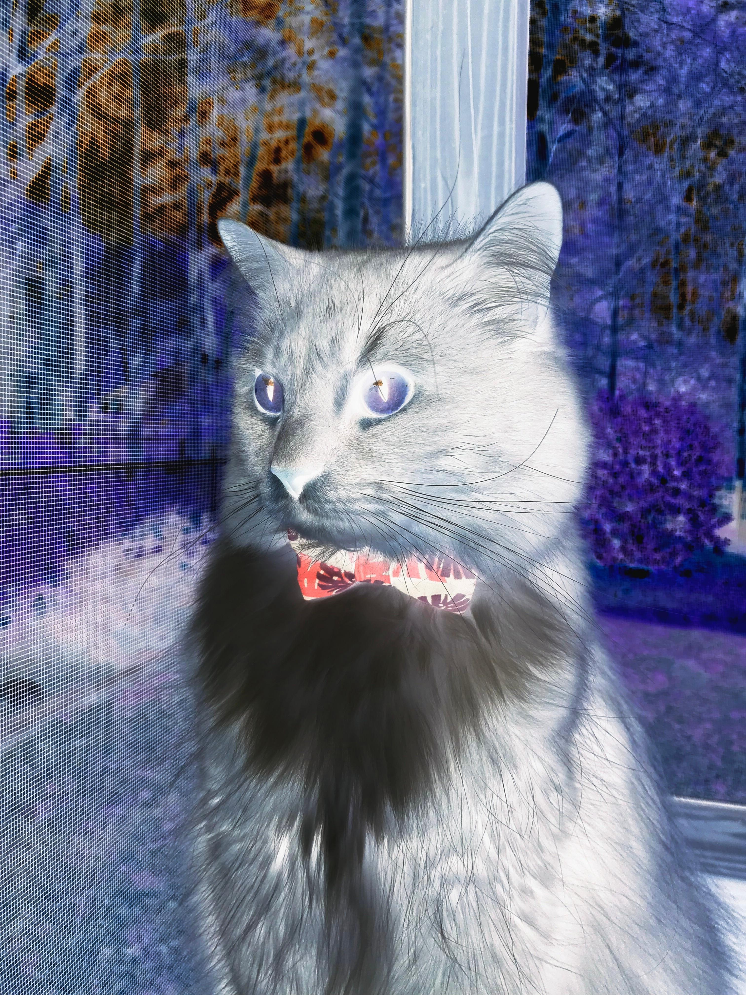 爱游戏在线登录入口-“历史传奇：NBA最伟大球员的黄金时代”，nba历史最伟大球星是怎么排名的