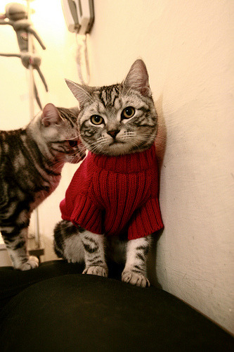 爱游戏下载-“德甲最后几轮，比赛高潮不断”，德甲最后几名降级