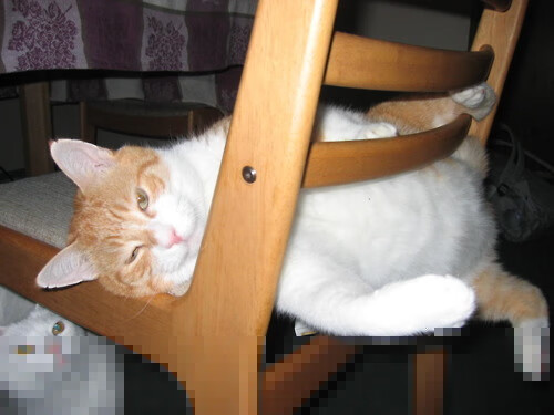 “英超关键战役,胜者直接影响最终排名”,英超的全部