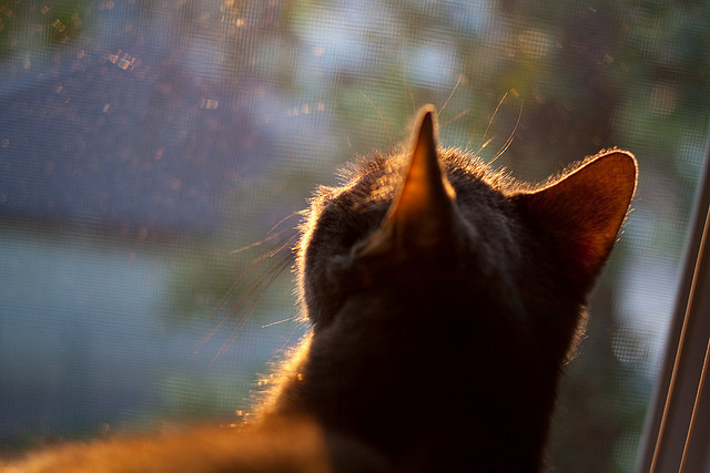 全国青少年“创新运动”智造大赛在成都盛大启动，推动运动科技创新