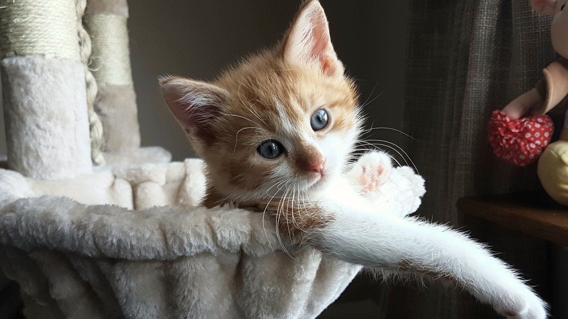 爱游戏综合娱乐-意甲豪门争夺世欧洲坛新星，转会费屡创新高，意甲转会榜