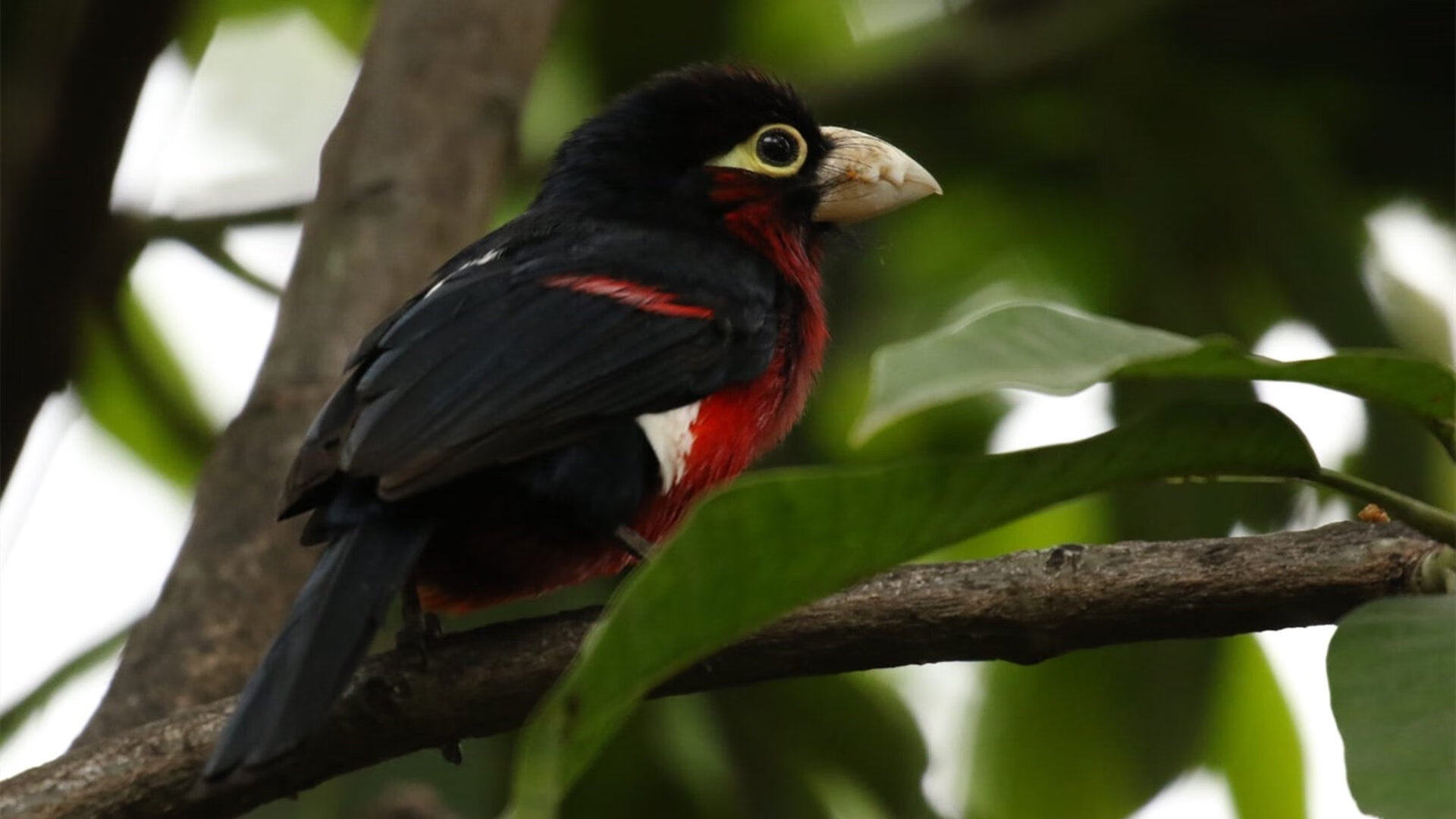 爱游戏登录入口-法国奥运队未达预期，民调支持率下降，法国奥运项目