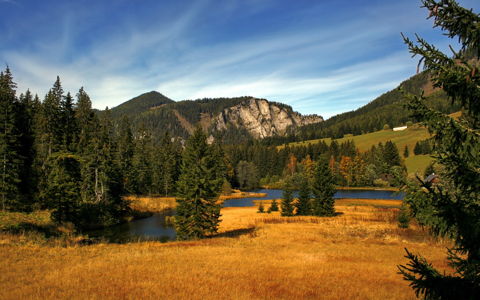 爱游戏在线登录入口-英超变阵奏效，精彩进球由战术变革带来，英超2021转会最新一览