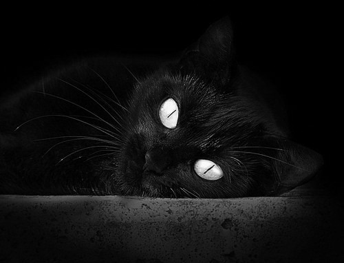 雅各布·因格雷布夺得男子100米金牌,雅各布·因格布里格特森