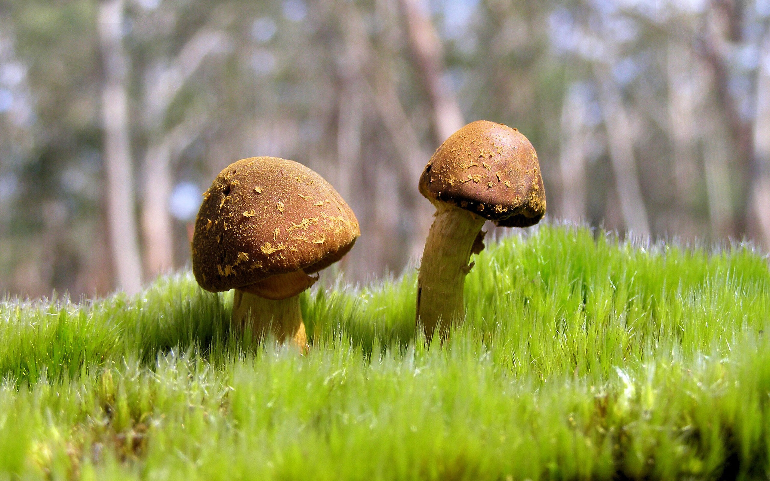 爱游戏体育（AYX）官方APP下载-佩纳罗尔防守表现稳固，佩纳罗尔防守表现稳固还是稳定