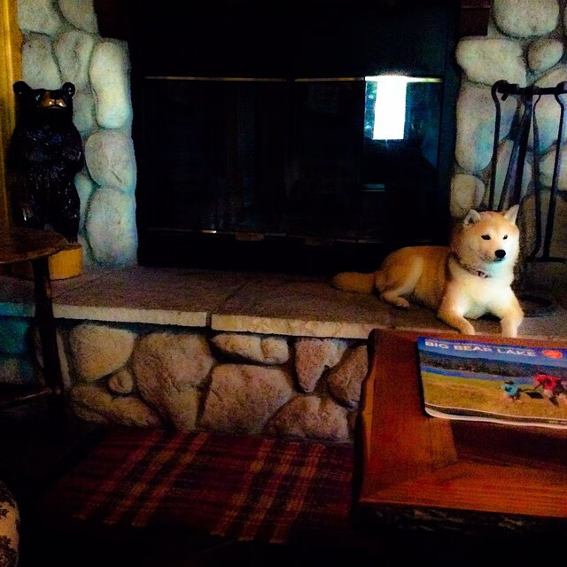 全球篮球传奇再唱激情:赛场英雄传奇再战,篮球界传奇