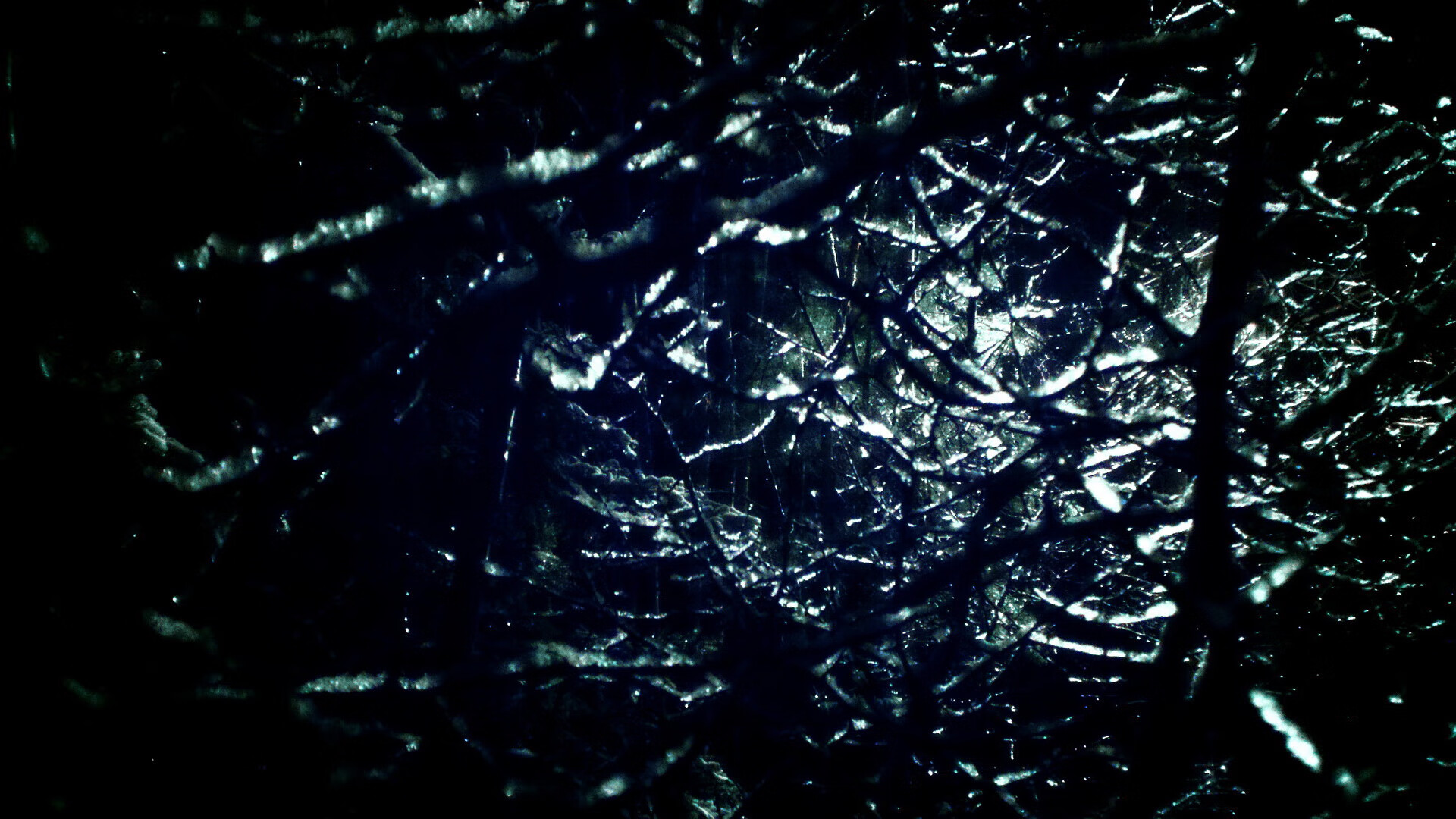 塞尔维亚联赛裁判判罚备受关注，塞尔维亚杯ds