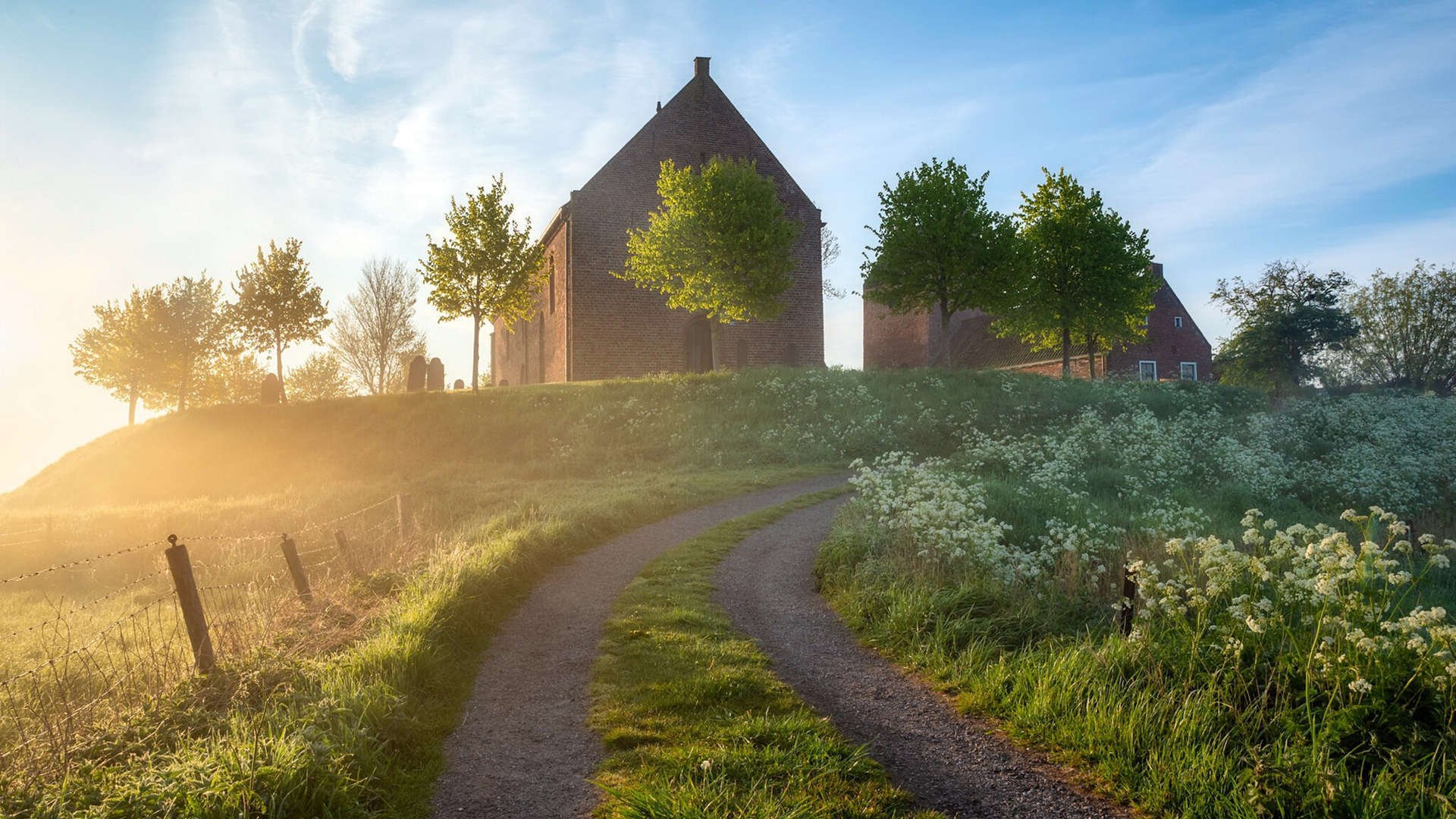 AYX官网-奥地利机会渐现，精彩表现备受瞩目，奥地利情况