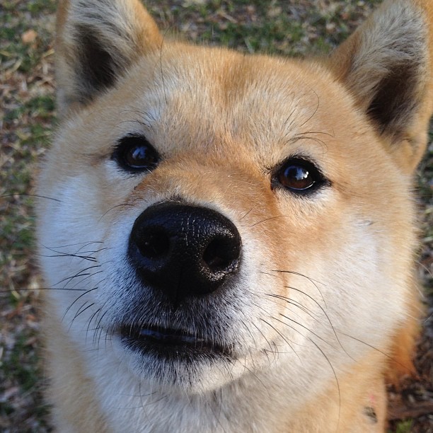 爱游戏娱乐平台-尤文图斯惜败于皇马，无缘晋级半决赛，尤文图斯上半场