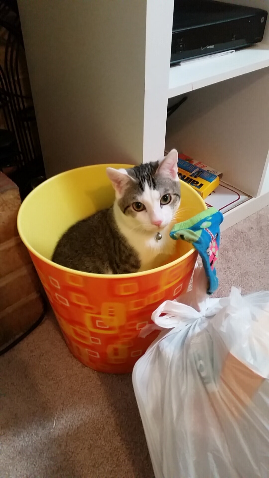 拜仁慕尼黑客场不敌马拉加,失利遗憾,拜仁慕尼黑对战