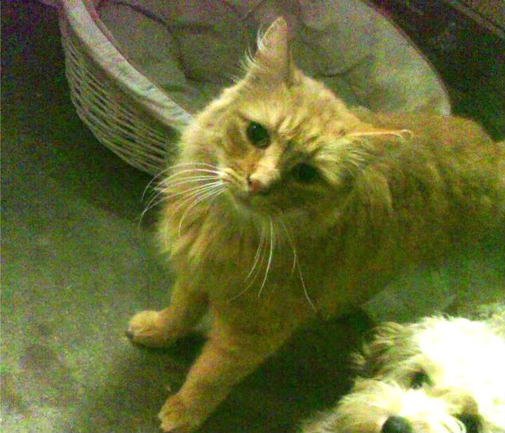 AYX体育官网-欧洲豪门球队的搏斗，冠军宝座将属于谁？，12大豪门组建欧洲超级联赛