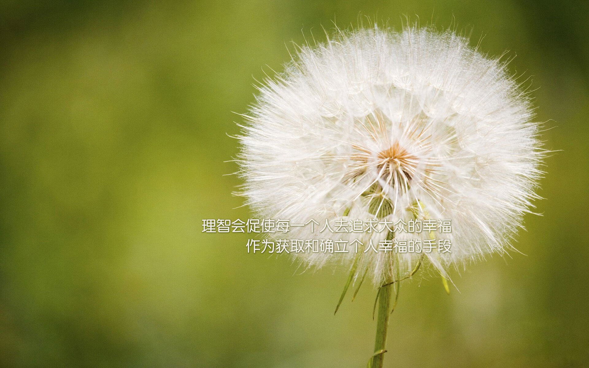 AYX体育-汉堡联鏖战至最后一刻，终不敌对手，汉堡cp