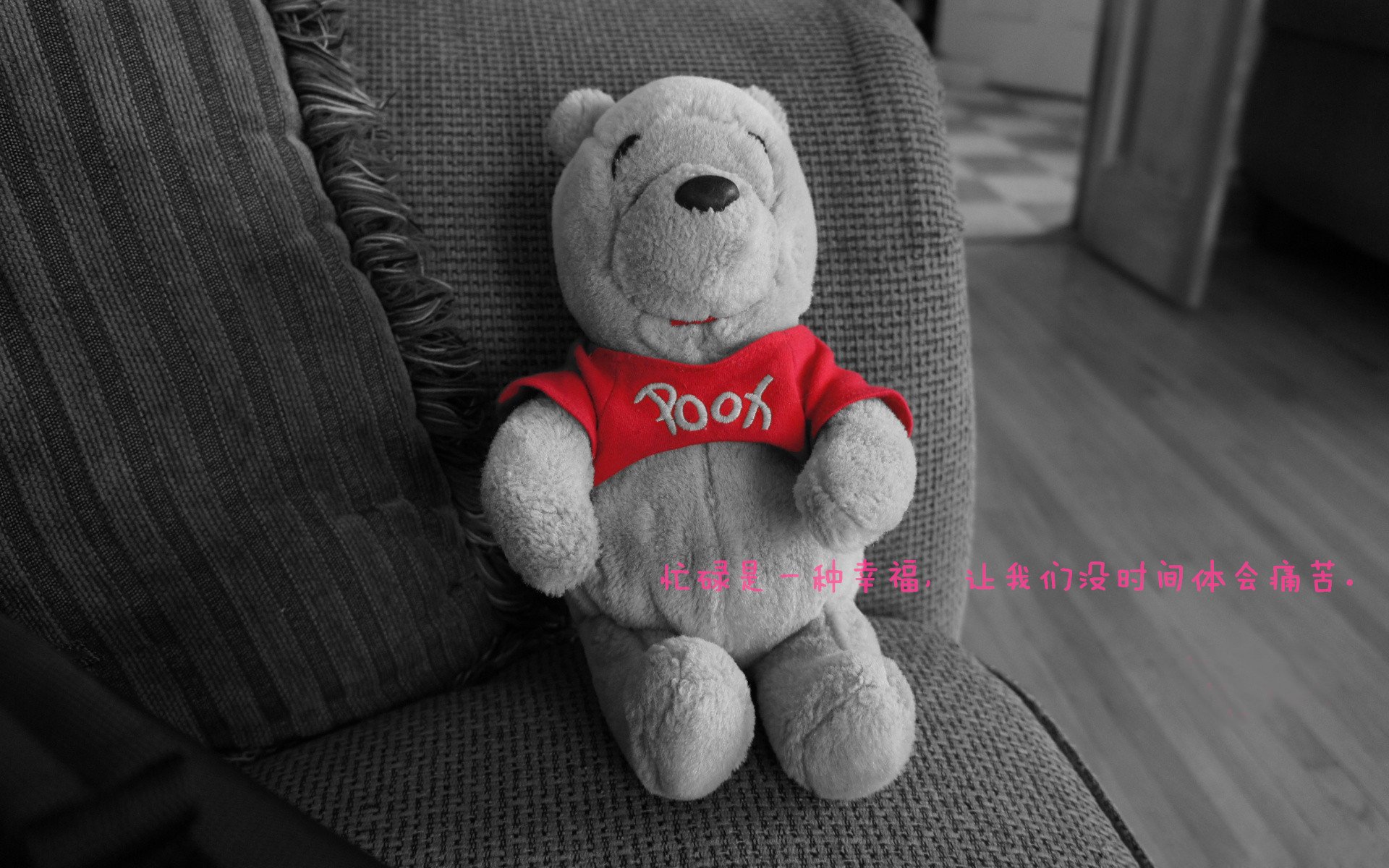 比利时与瑞士在欧预赛中争锋——现场呈现激烈对决，比利时与瑞士足球比分预测