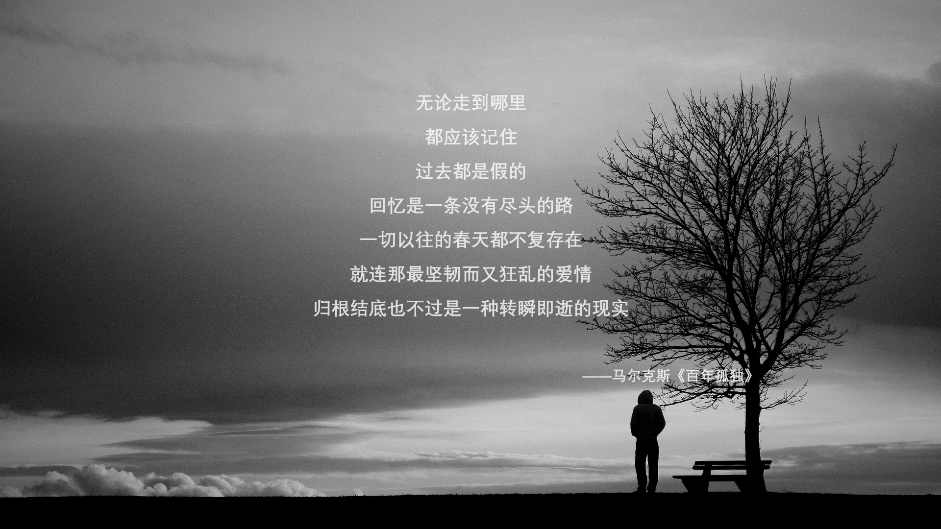 AYX GAME-独行侠主帅调整战术成效初现