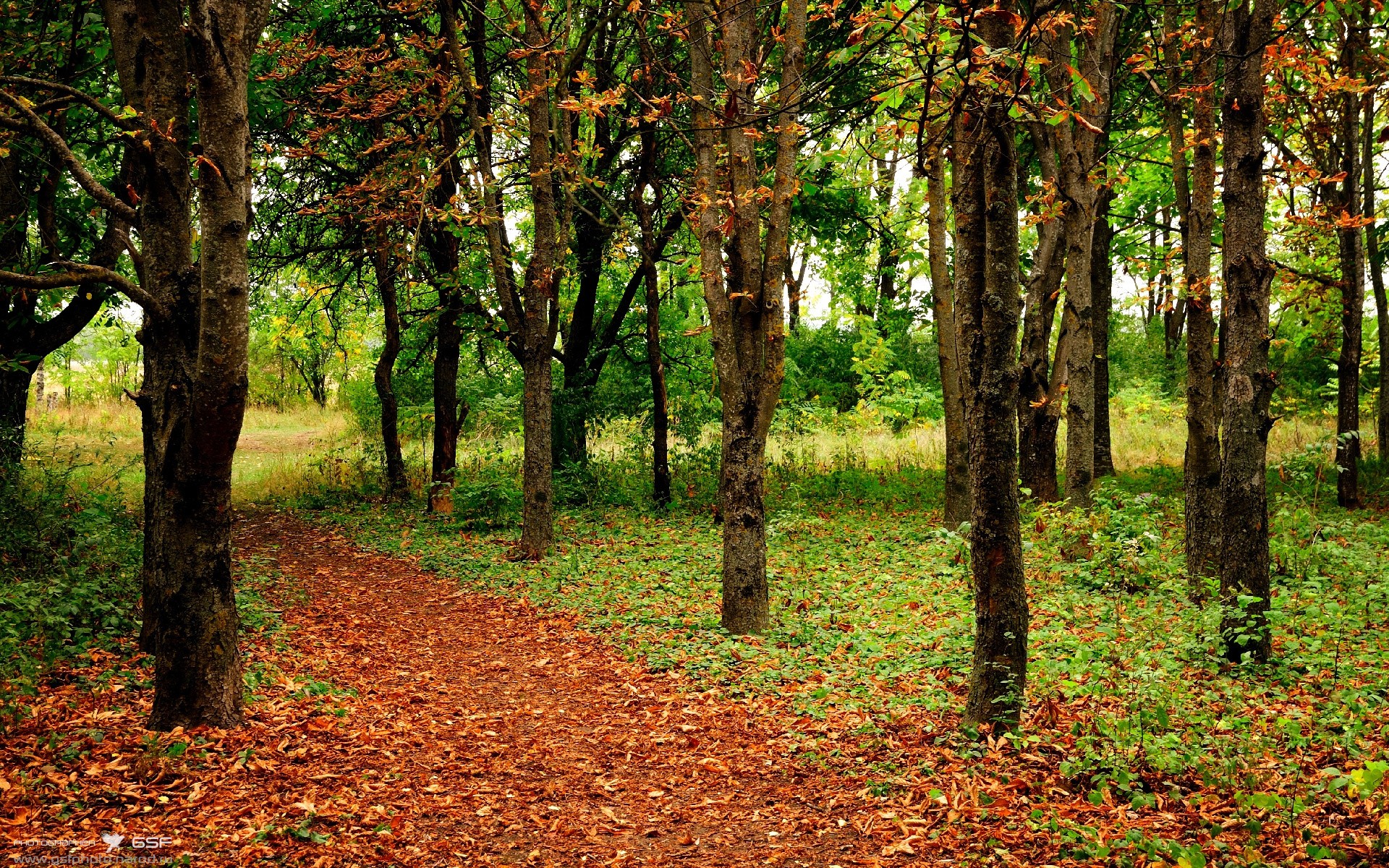 苏宁斩落富力,豪取三连胜稳稳排名前四,苏宁有多强