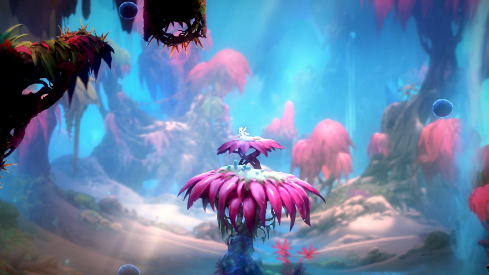 爱游戏登录入口-葡萄牙马术协会举办马术运动员国际交流活动，促进文化互鉴。，葡萄牙马种