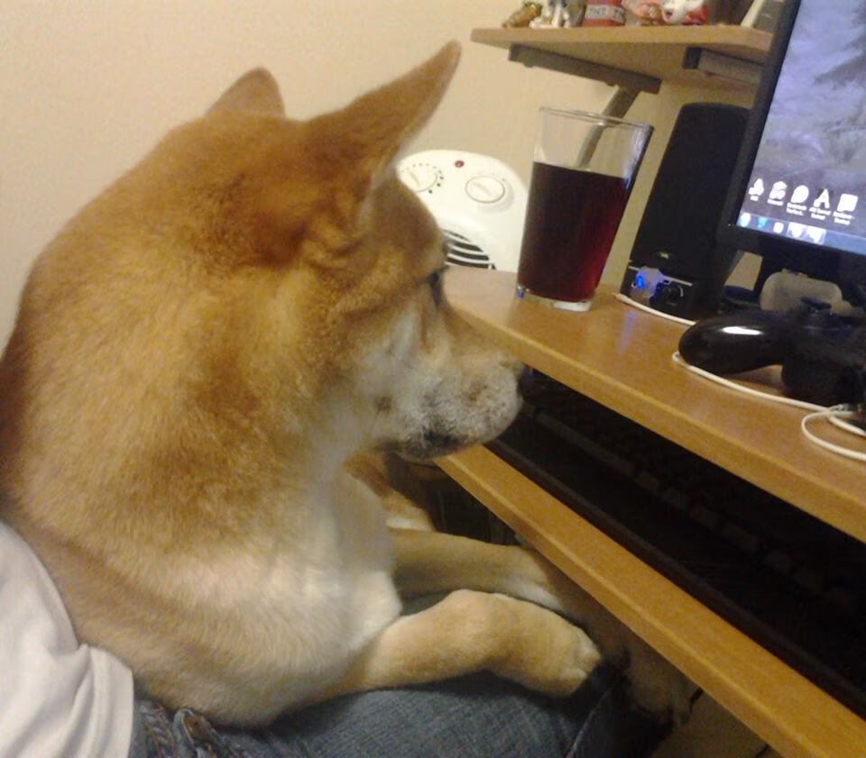 德甲球队构建动态语义+空间识别系统用于快速切换战术，空间位置识别