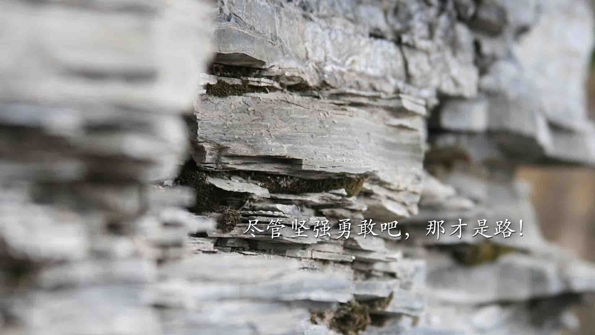 西甲青训心理韧性培养对球员稳定表现的影响,西甲青训规则