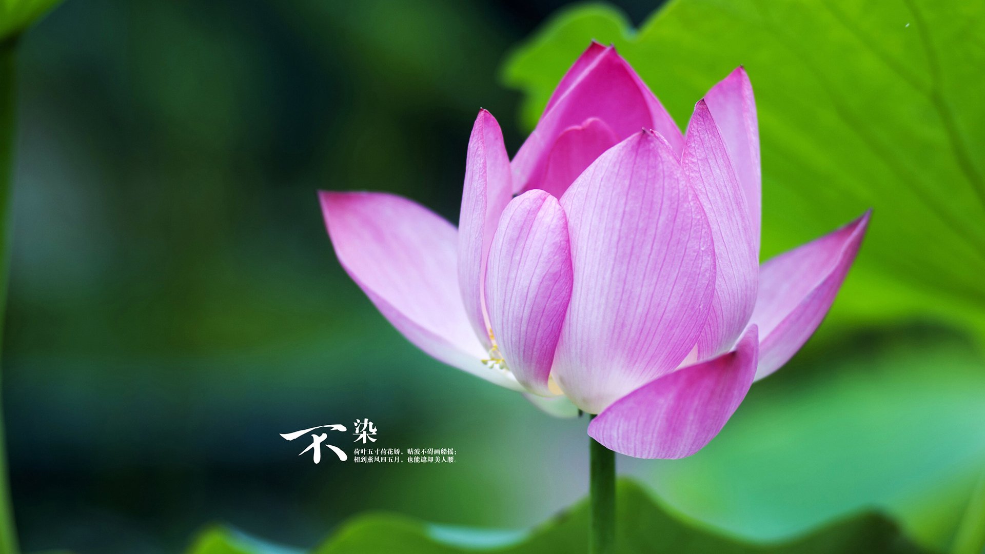 高校运动康复训练课程建设与应用,运动康复技术学陈建