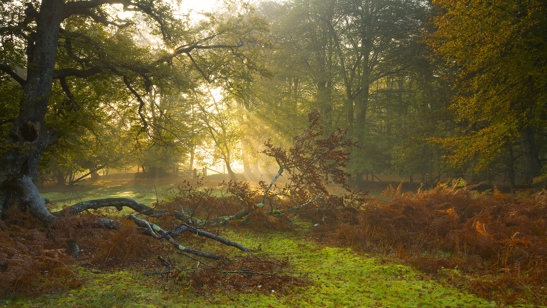 中国女篮保持联动进攻制造空位机会,中国女篮联合队
