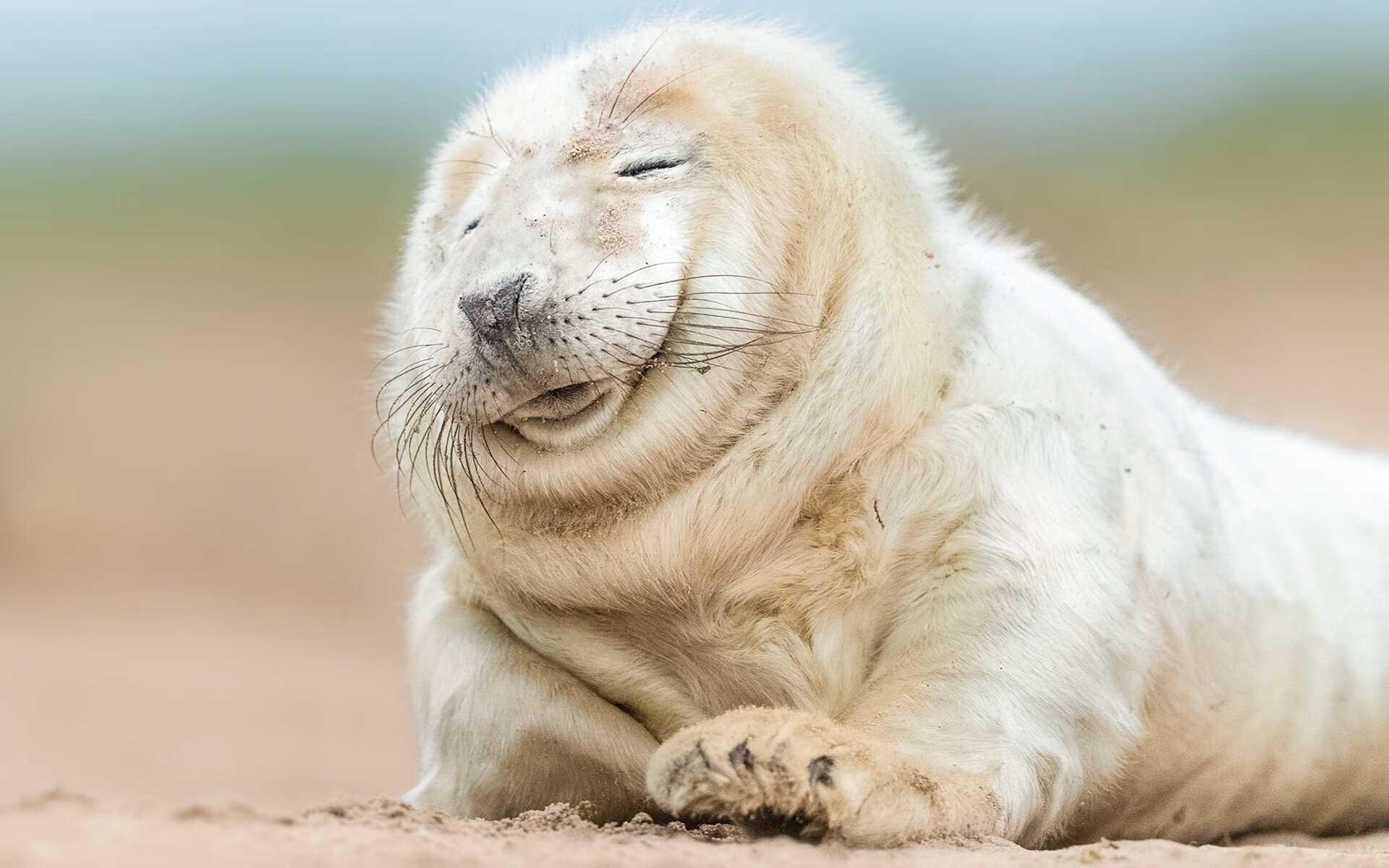 AIYOUXI.COM-体育新闻中心联合科研机构发布运动健康评估模型，健康运动评估的意义包括