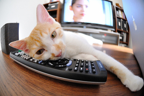 仰泳赛场吉尔吉斯斯坦选手节奏稳定,公路碎石国家标准