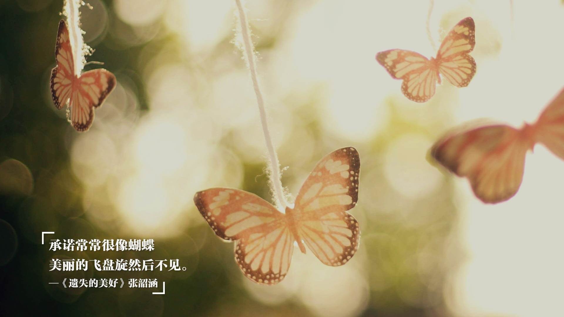 意甲绝妙配合:精彩瞬间层出不穷,意甲经典比赛如c77 tv