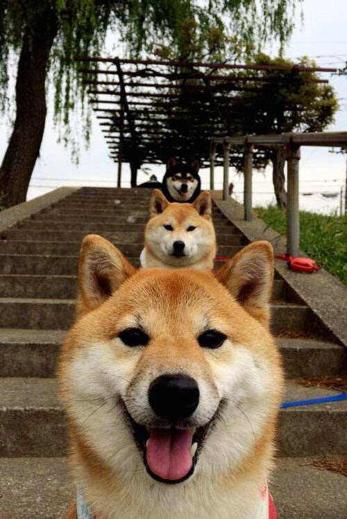 爱游戏体育官方网站-欧洲杯决胜瞬间：战术变革点燃全场！，欧洲杯决赛低调