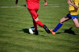 爱游戏体育平台-特色足球文化在国际博览会中亮相，展示国家软实力，世界足球文化