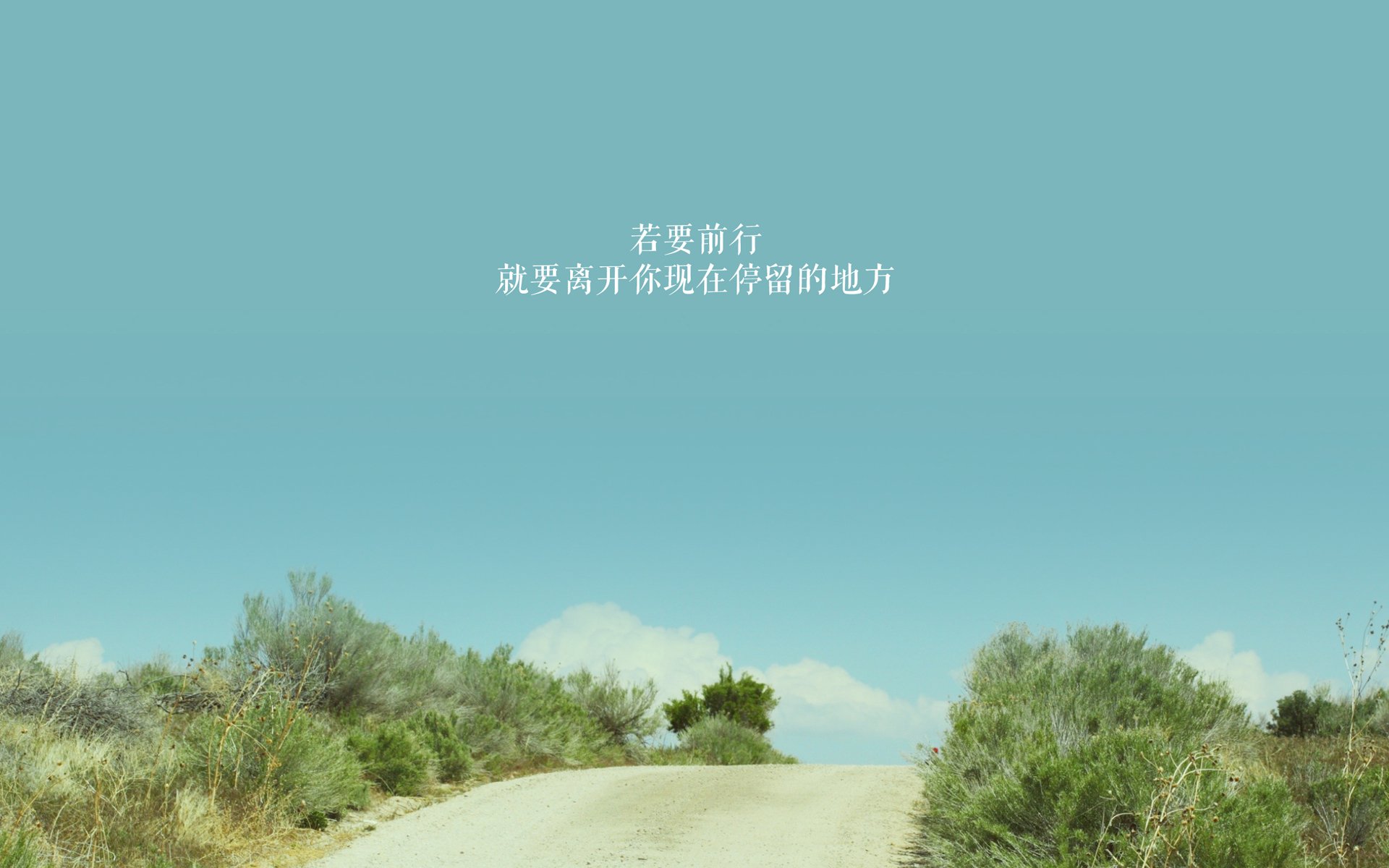 老鹰后卫突破效率提升连得关键六分,老鹰的后卫是谁